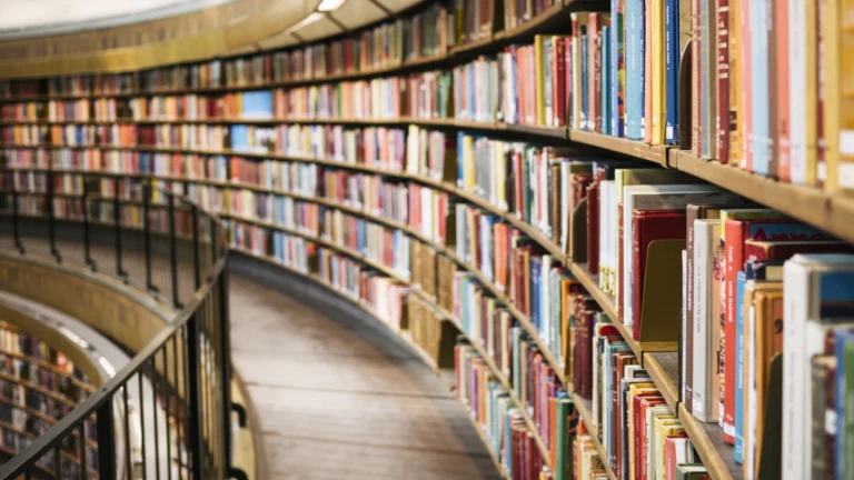Rows of books on wooden library shelves