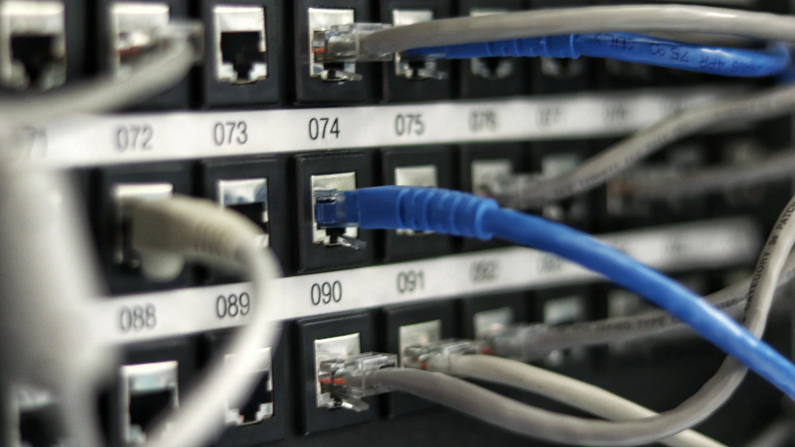Network cables connected to a server