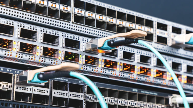 A high speed network switch used in a home lab setup